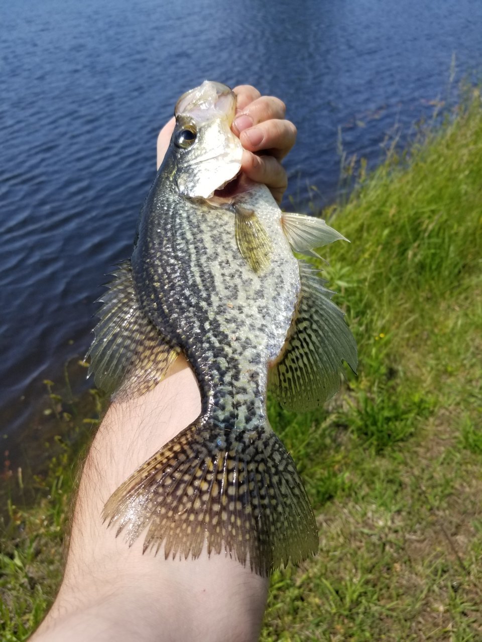 20190517_143429.jpg