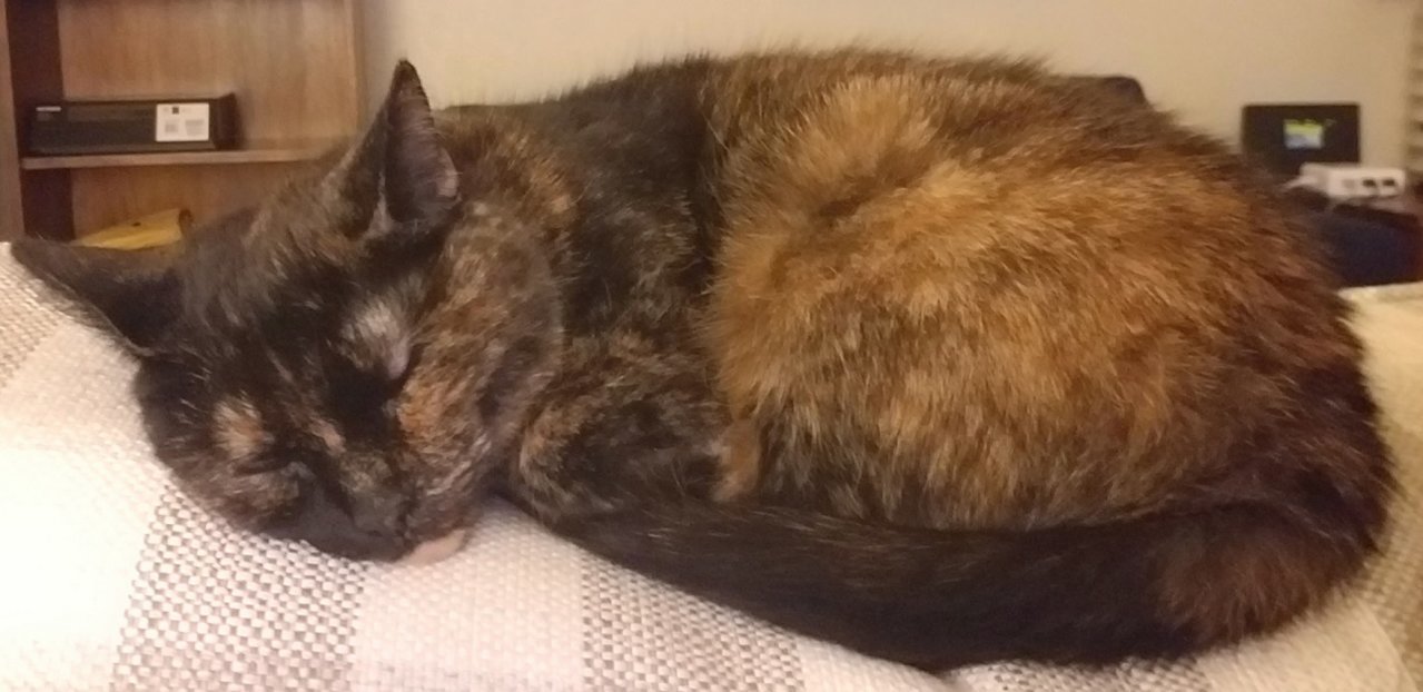 20190517_201659.jpg