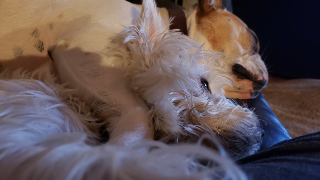 20190517_212014.jpg