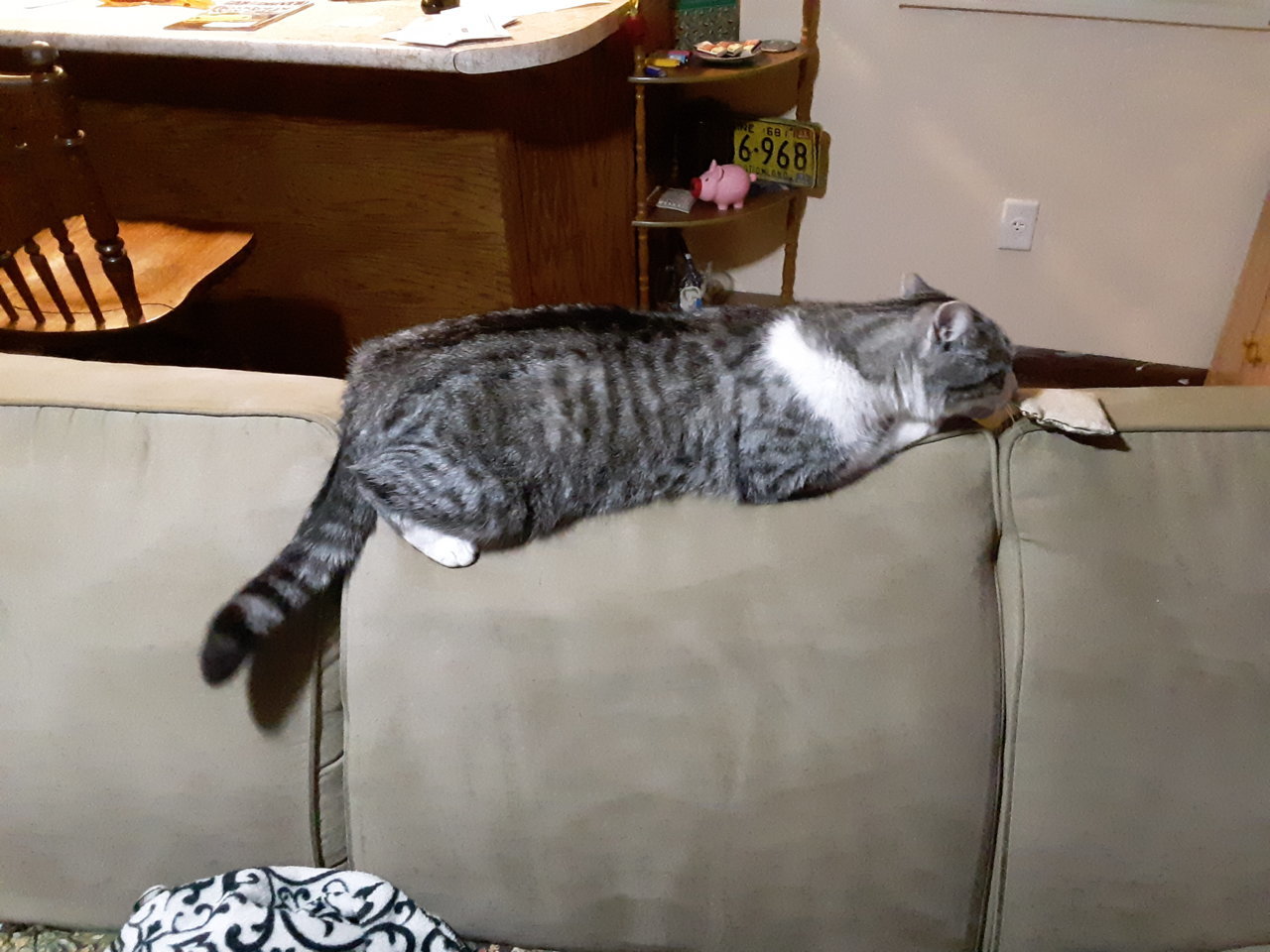 20190517_215716.jpg
