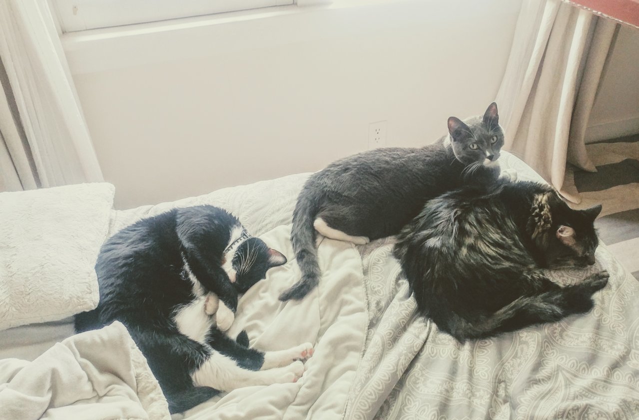20190518_130625~2.jpg