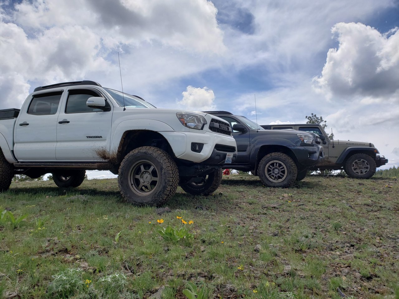 20190518_133352.jpg