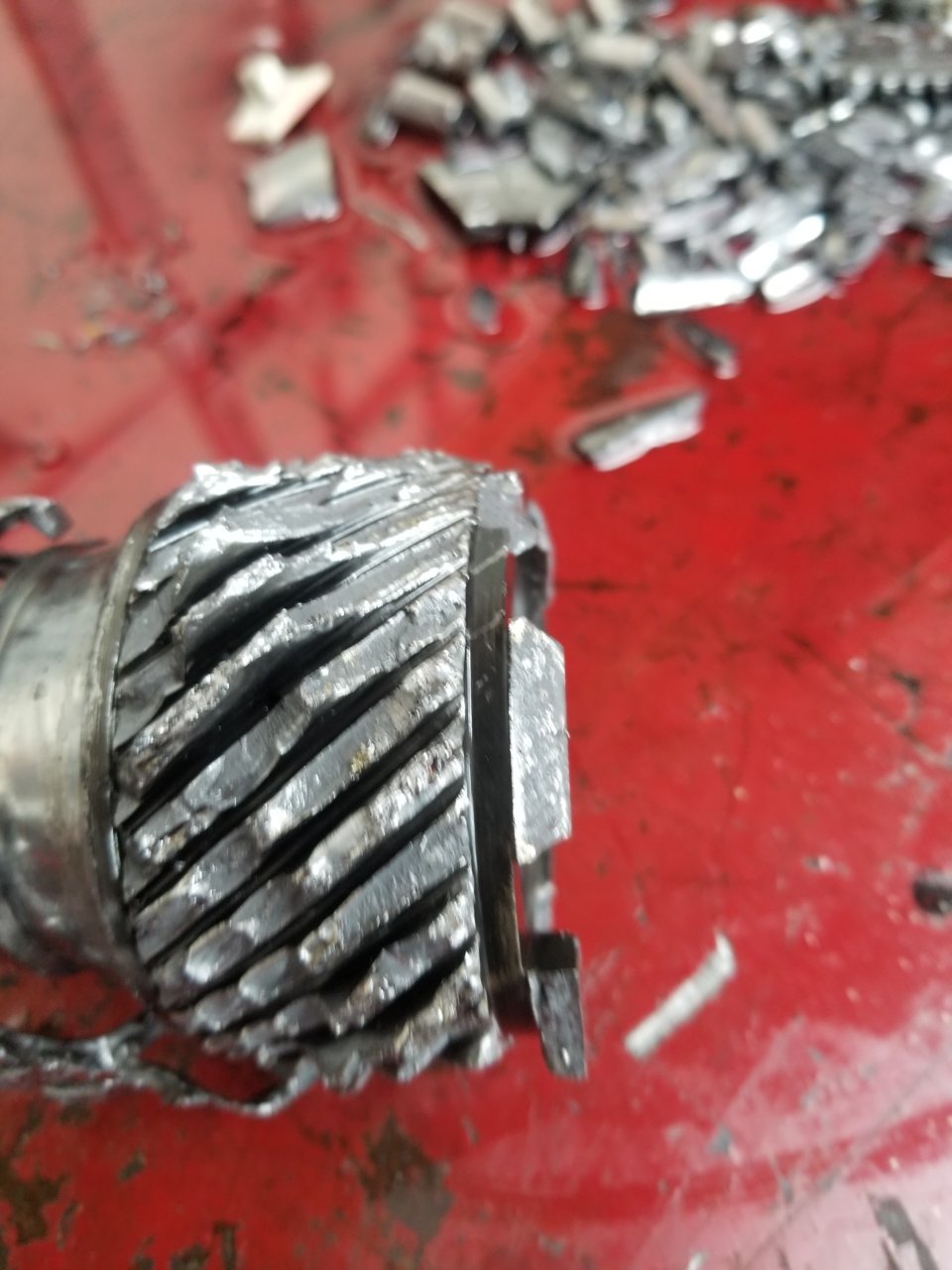 20190518_135504.jpg