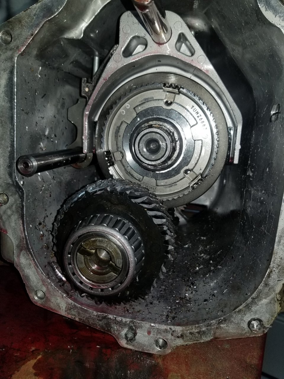 20190518_135515.jpg