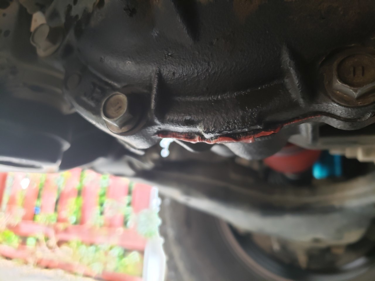 20190518_145331.jpg