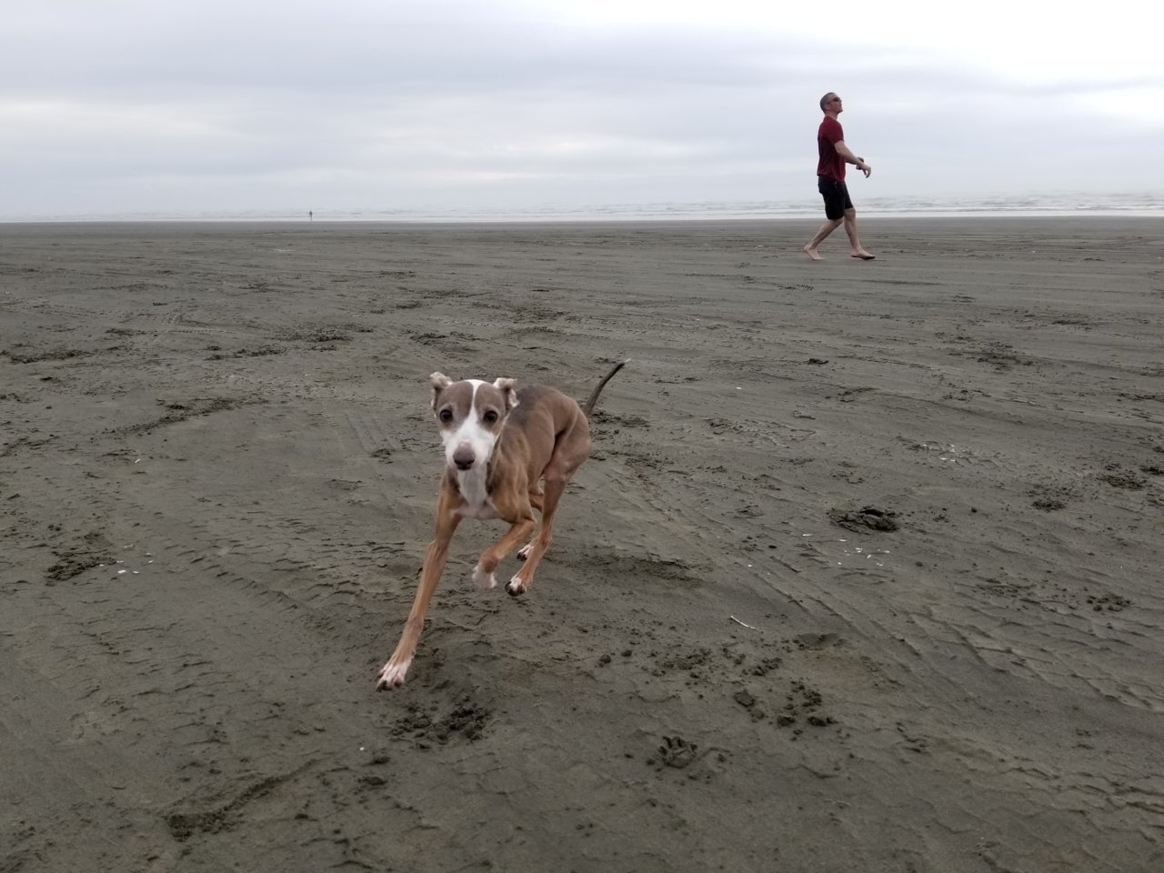 20190518_173553.jpg