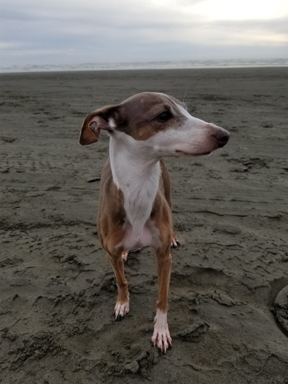 20190518_173604.jpg