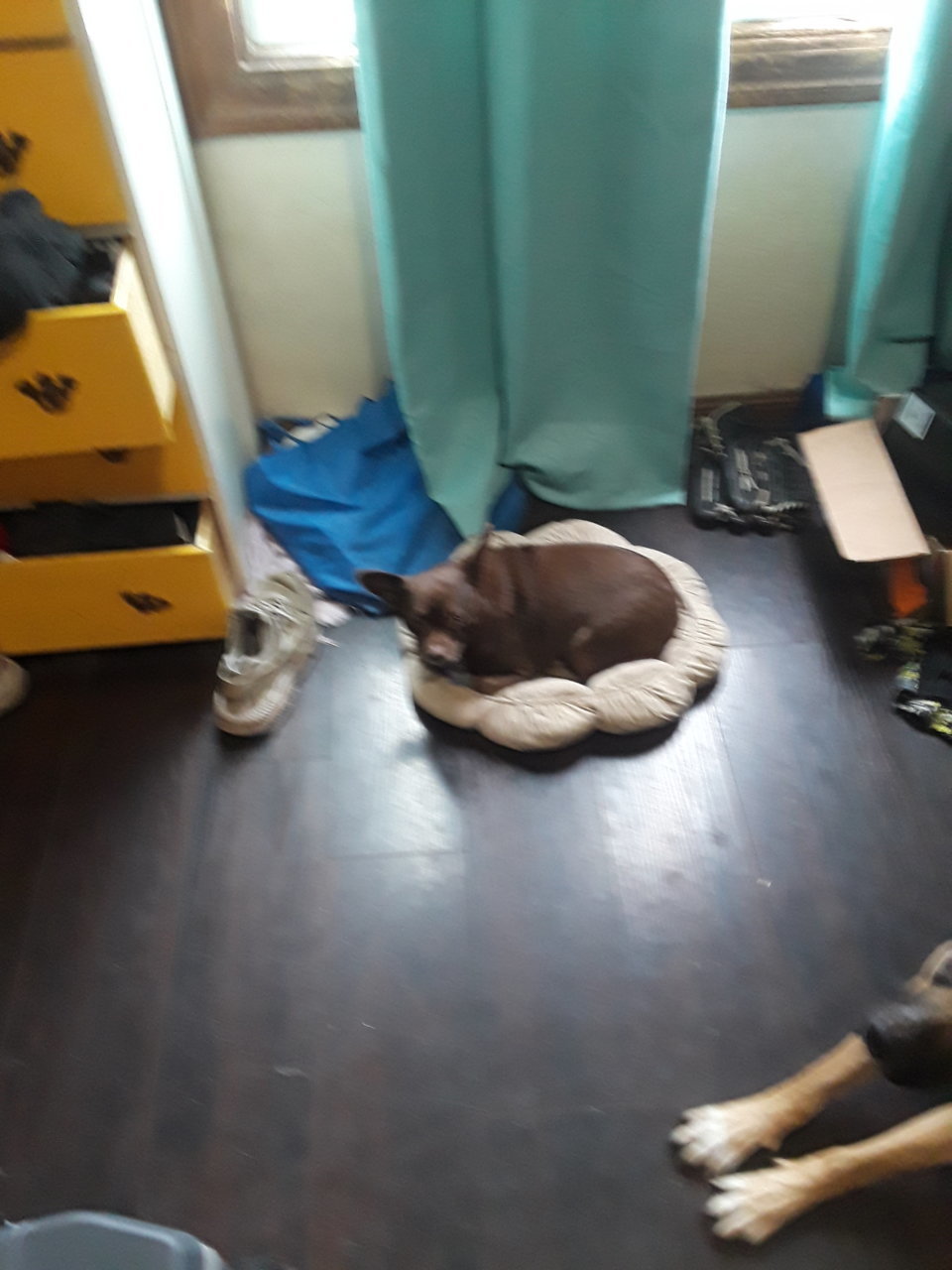 20190518_183948.jpg