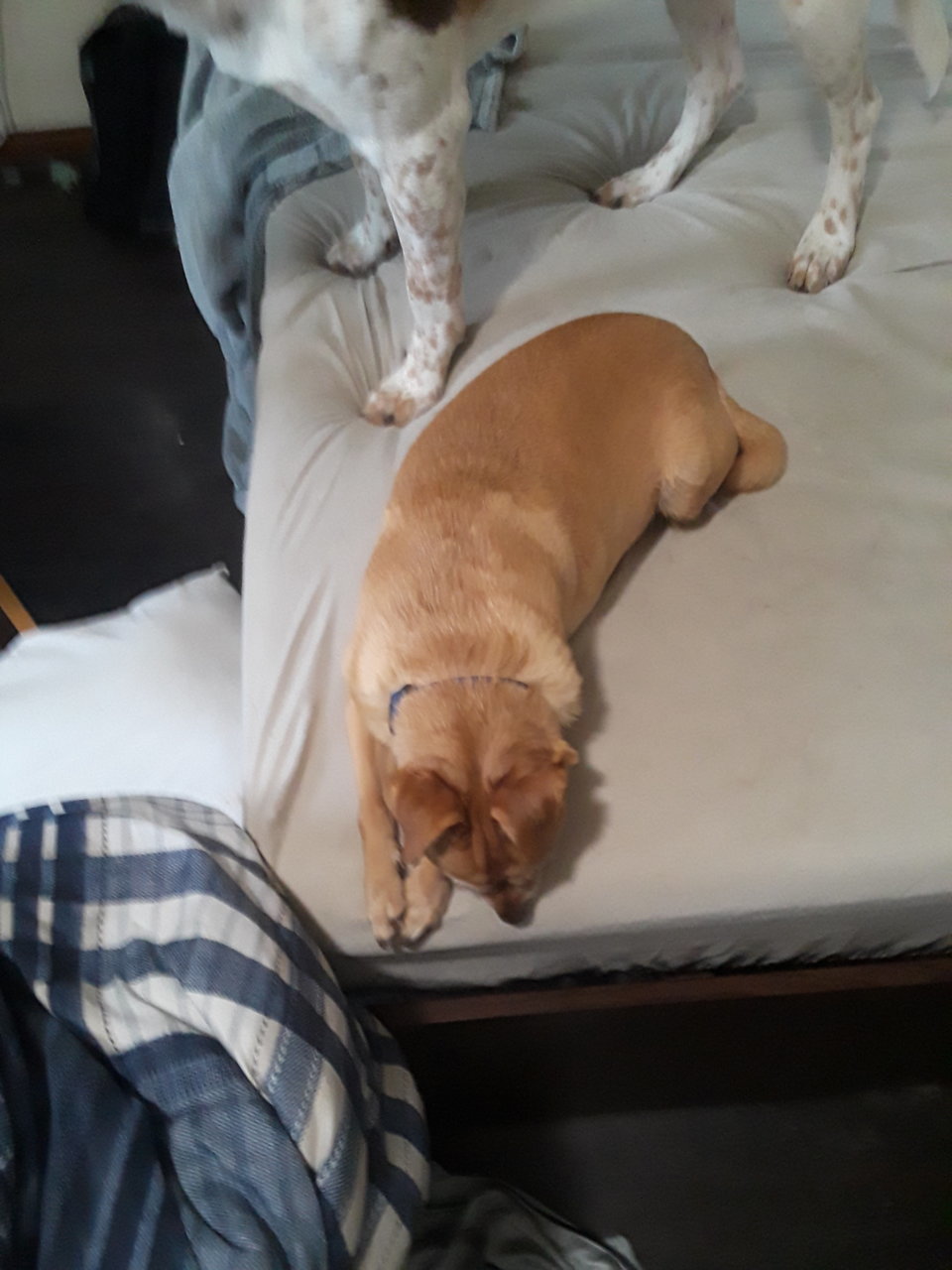 20190518_183953.jpg
