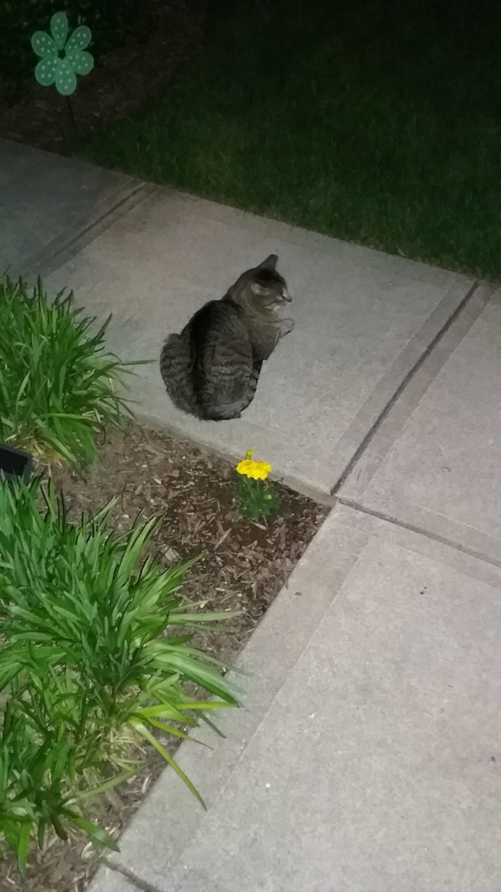 20190518_213242.jpg