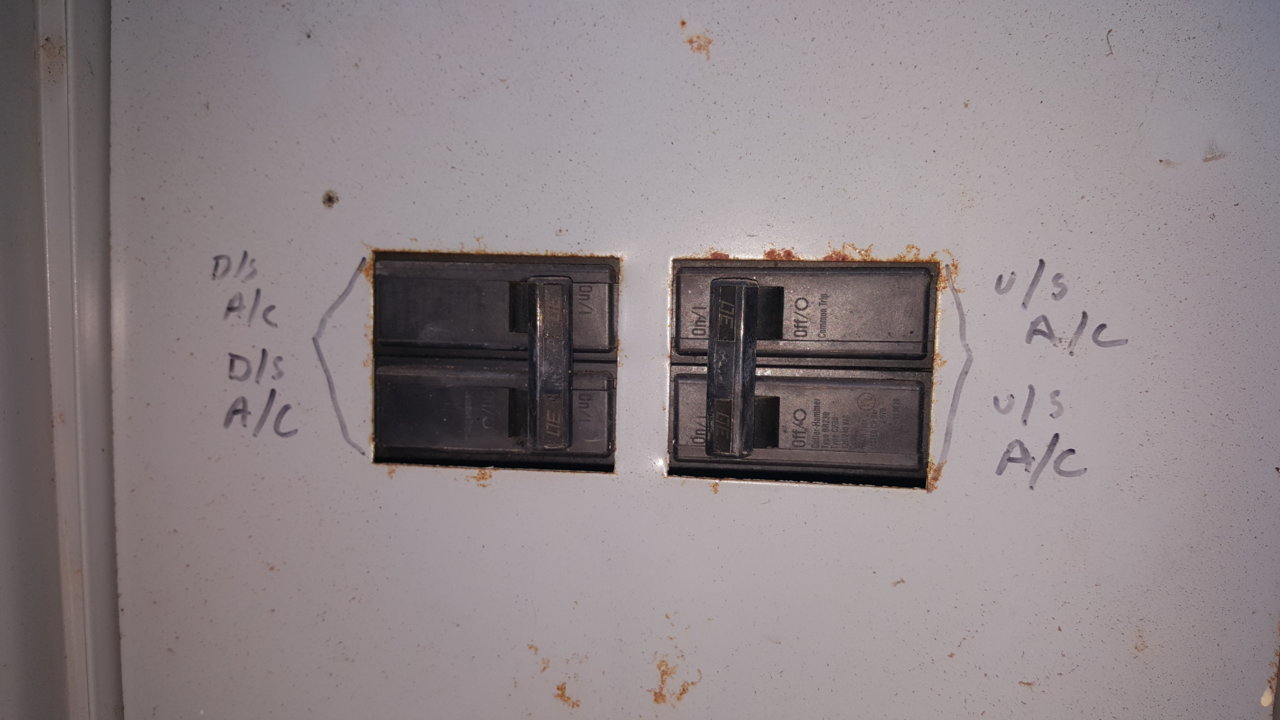 20190519_065520.jpg