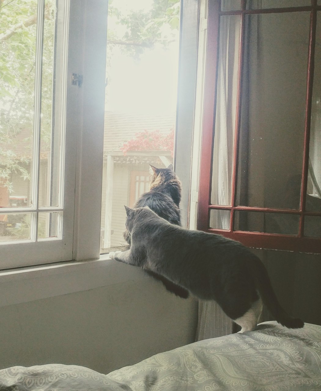20190519_100924~2.jpg