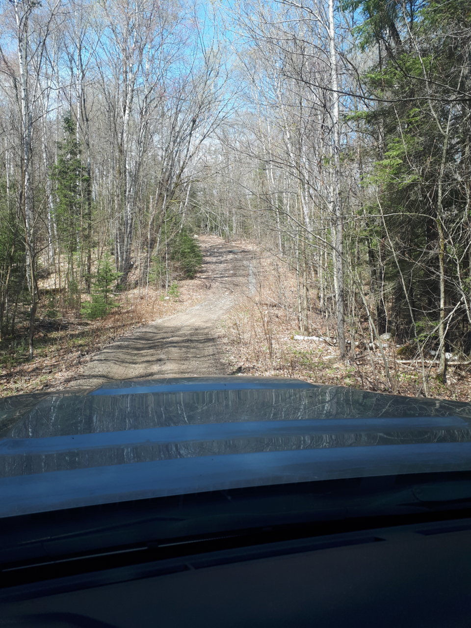 20190519_110728.jpg