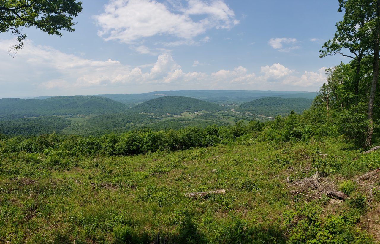 20190519_130808.jpg
