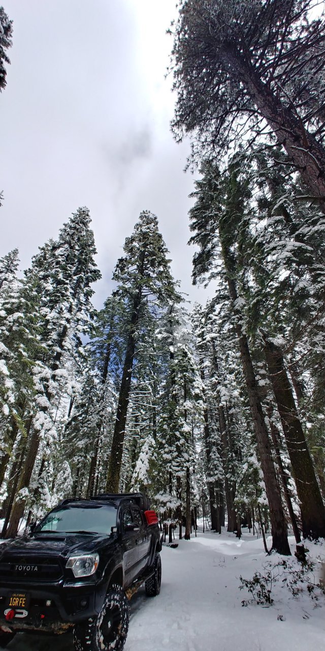 20190519_131205_HDR.jpg