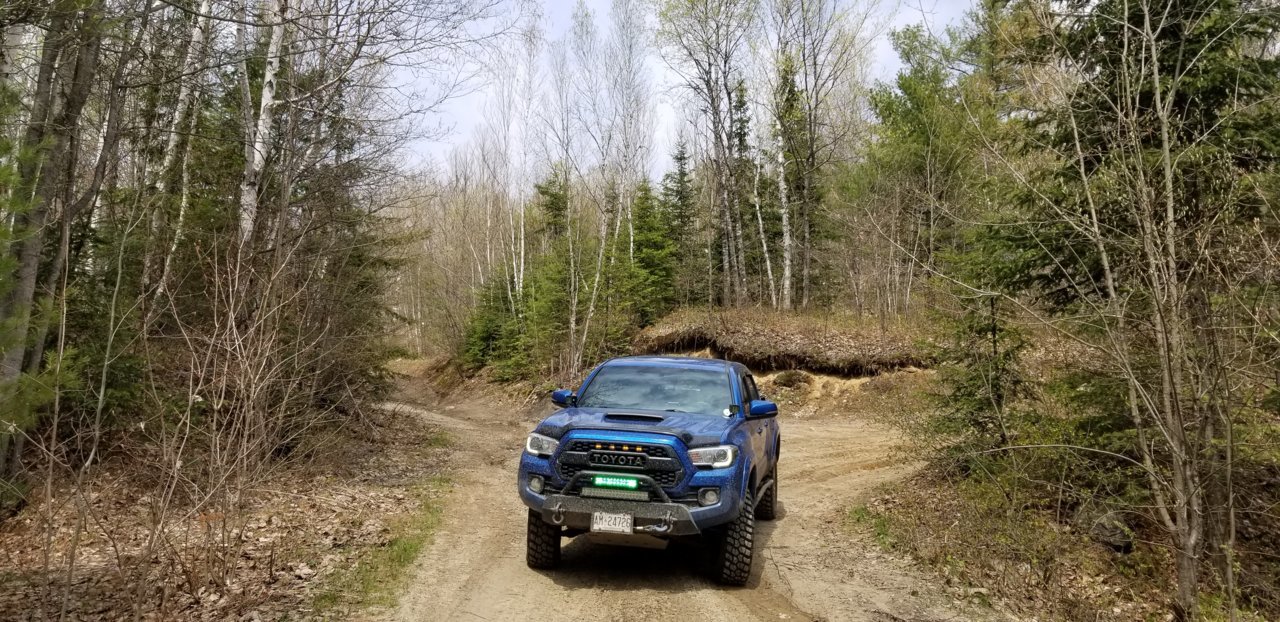 20190519_135709.jpg