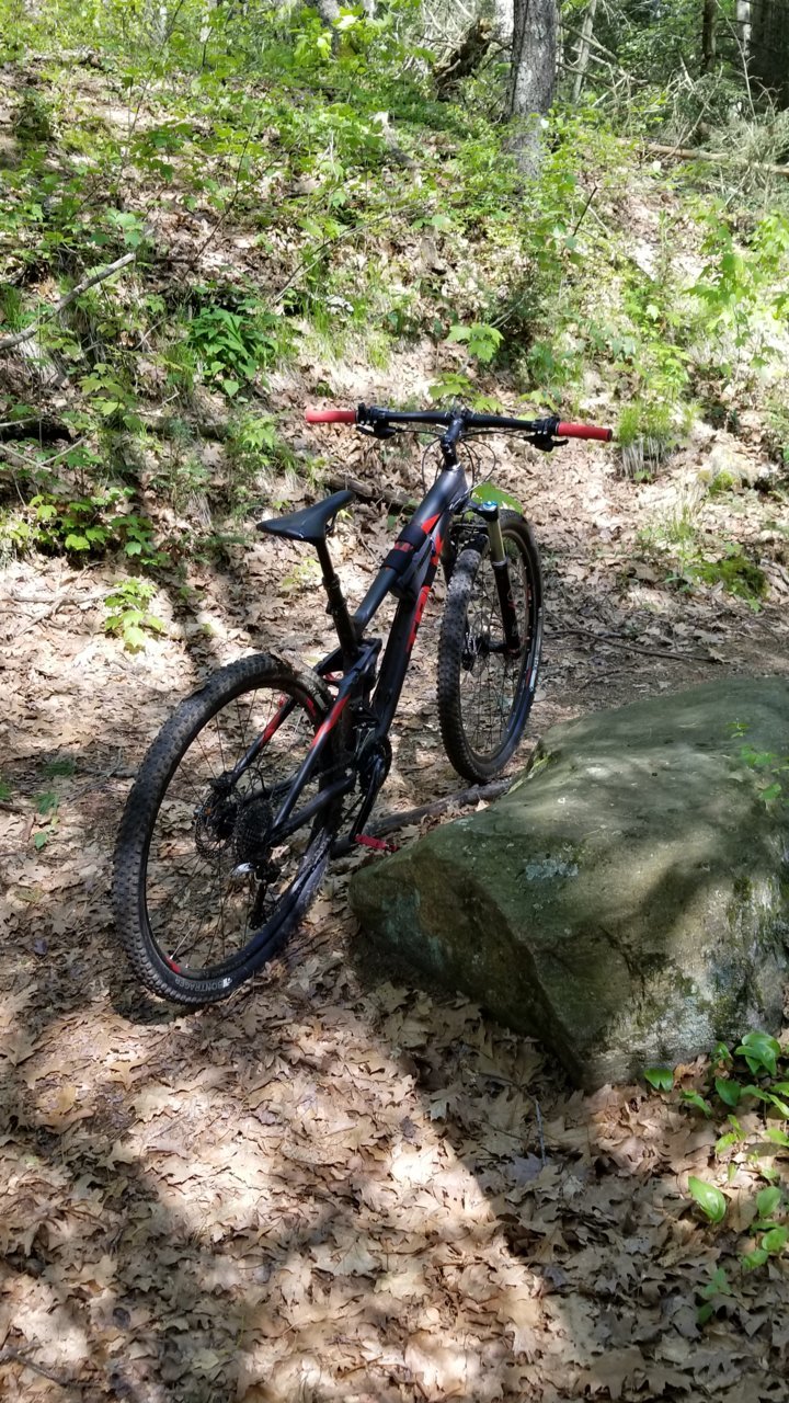 20190519_153405.jpg