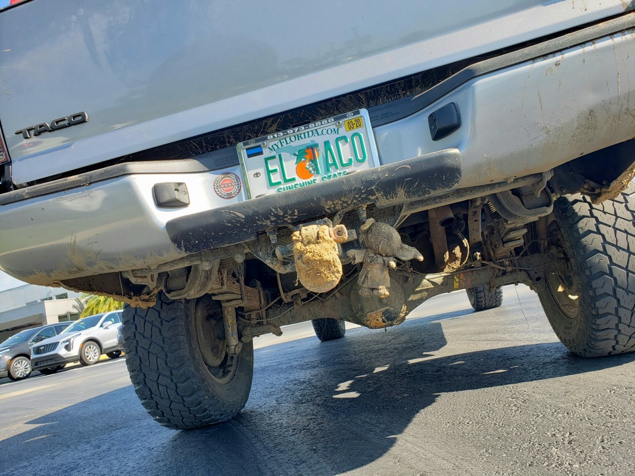 20190520_060517.jpg