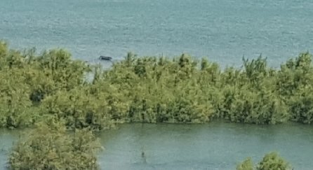 20190520_115640.jpg