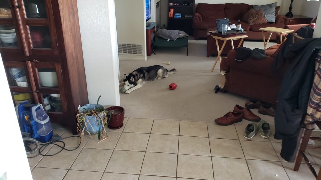 20190522_132859.jpg