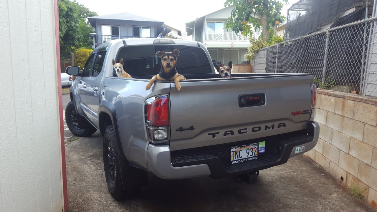 20190522_143421.jpg