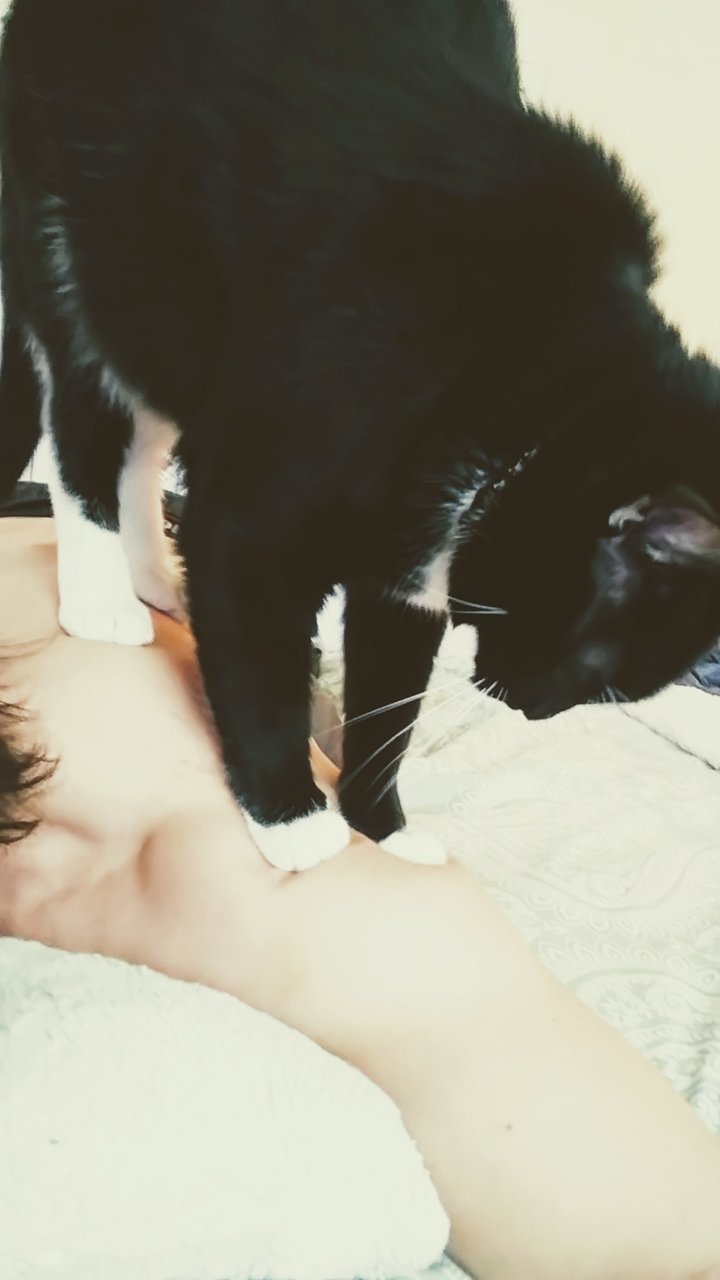 20190522_174229~2.jpg
