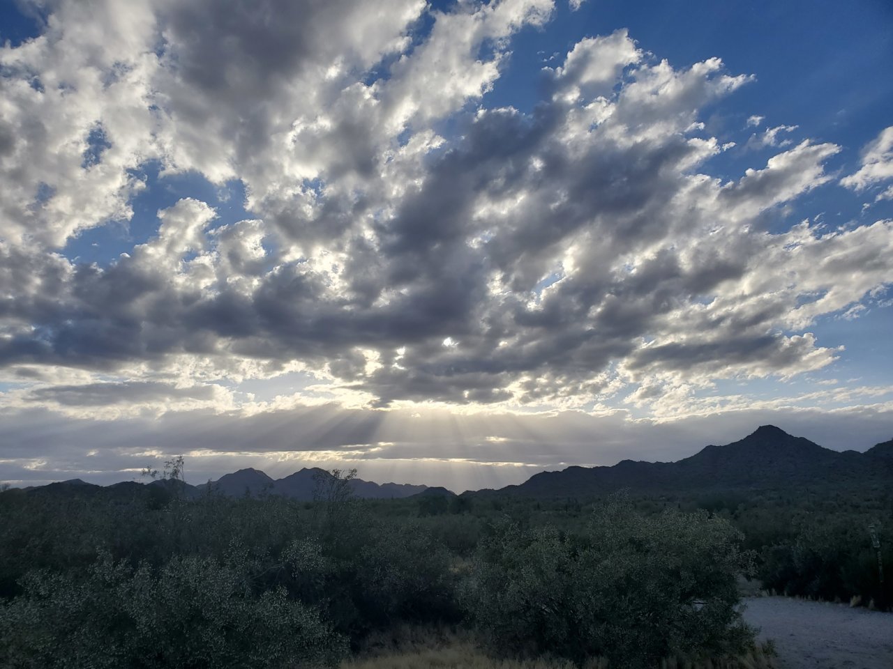 20190522_181445.jpg