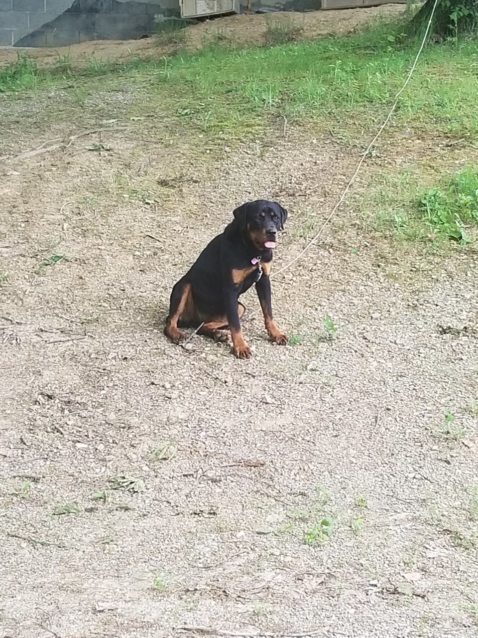 20190522_195746.jpg