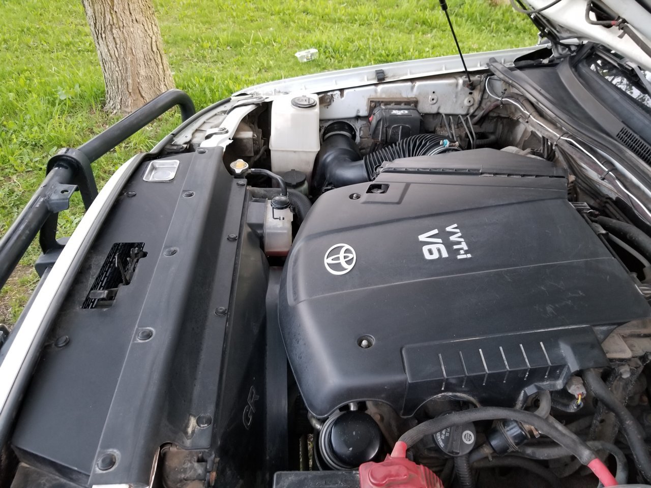 20190522_204049.jpg