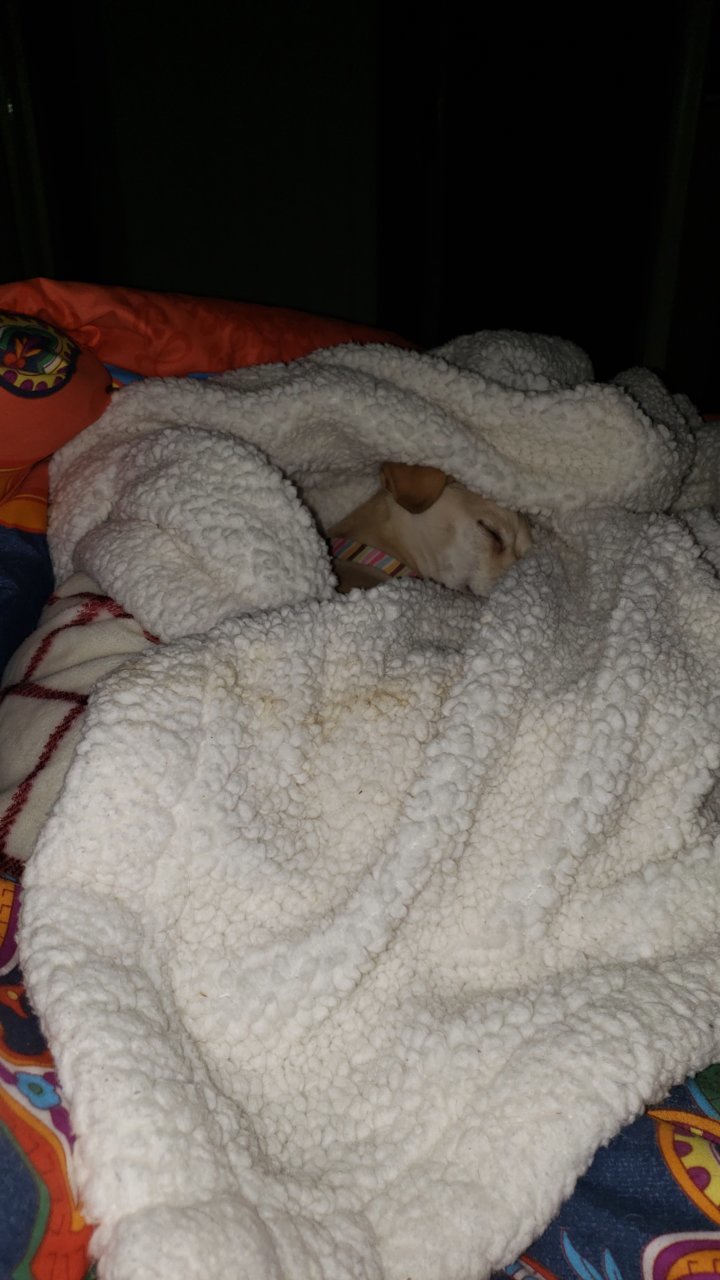 20190522_234218.jpg