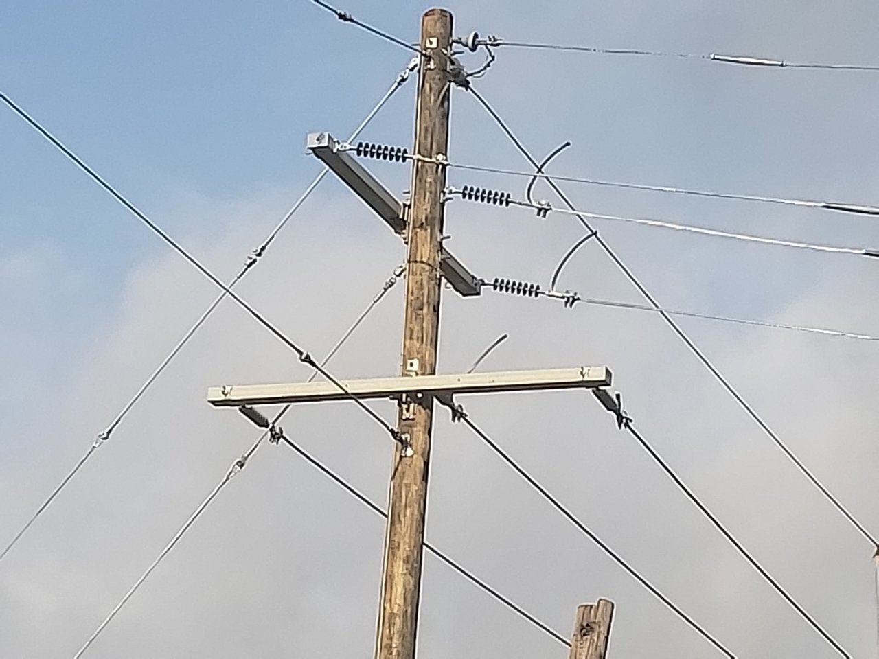 20190523_075506.jpg
