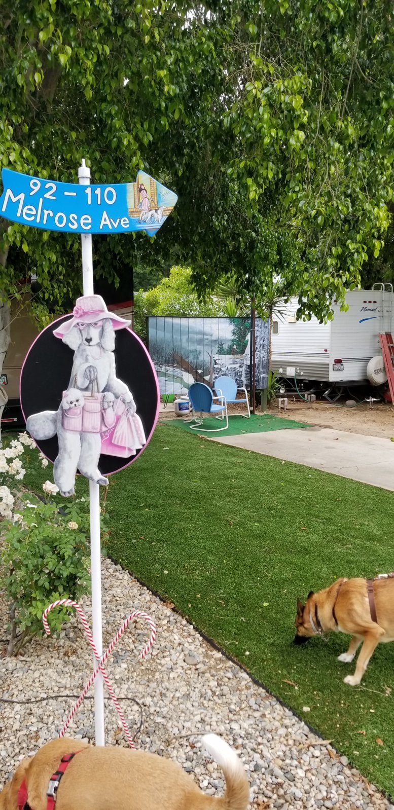 20190523_080407.jpg