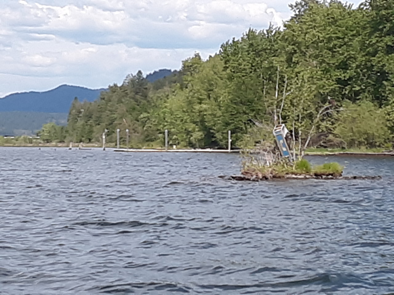20190523_154924.jpg