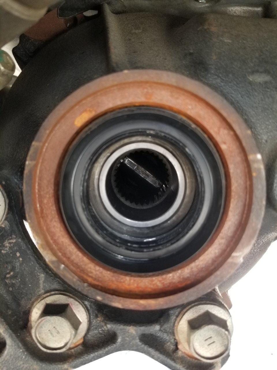 20190524_113738.jpg