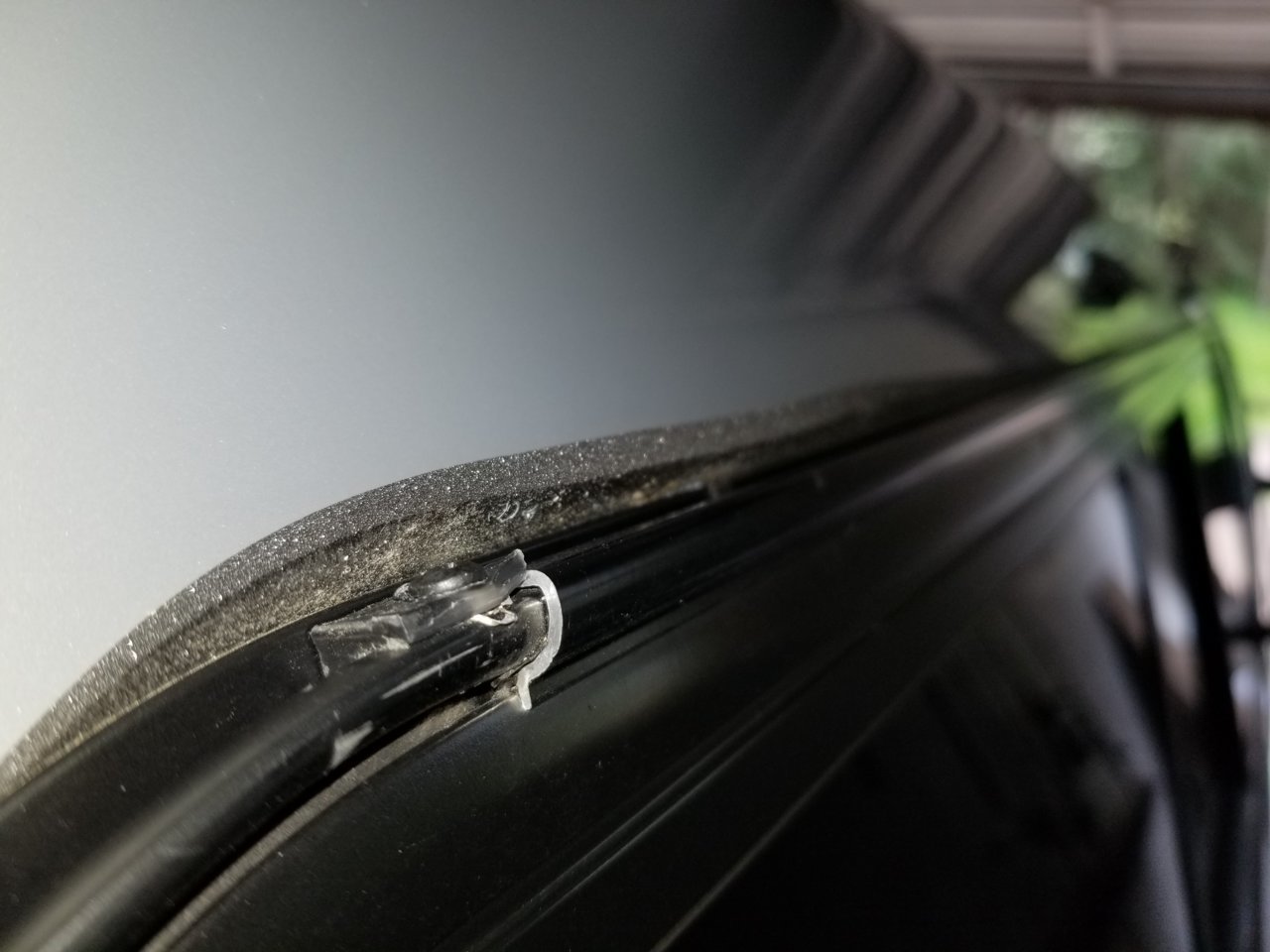 20190524_123959.jpg