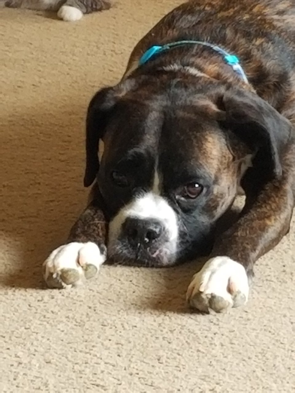 20190524_171311.jpg