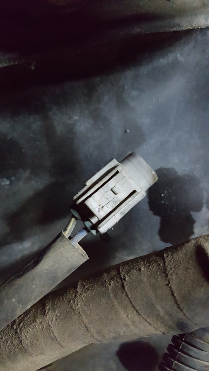 20190524_223921.jpg