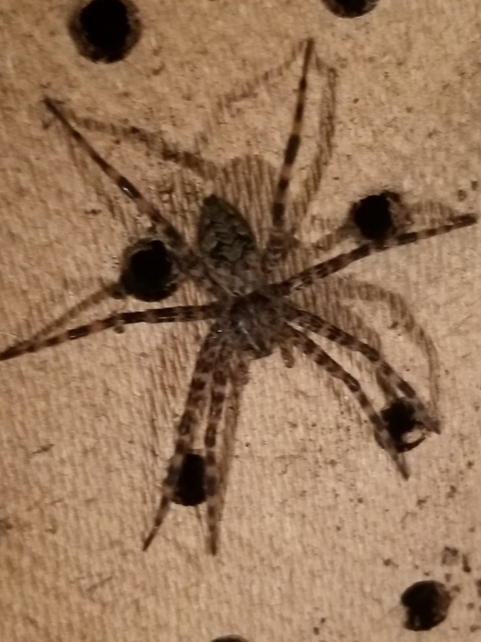 20190524_235355.jpg
