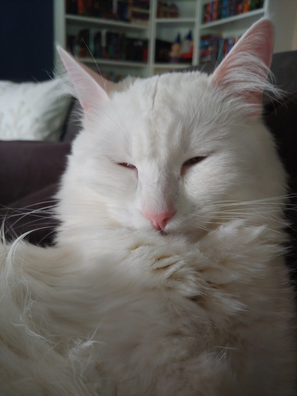 20190525_111715.jpg