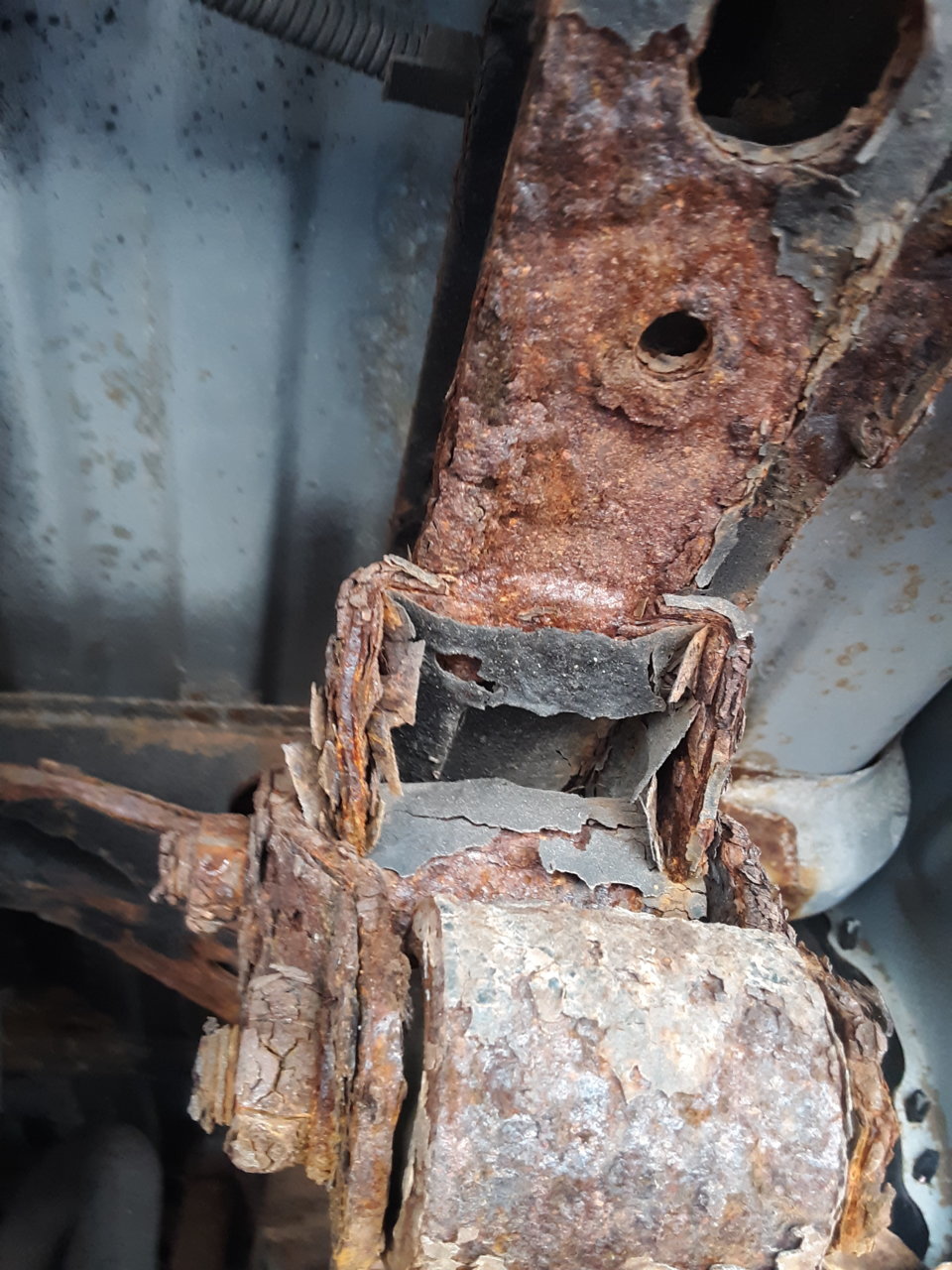 20190525_134307.jpg