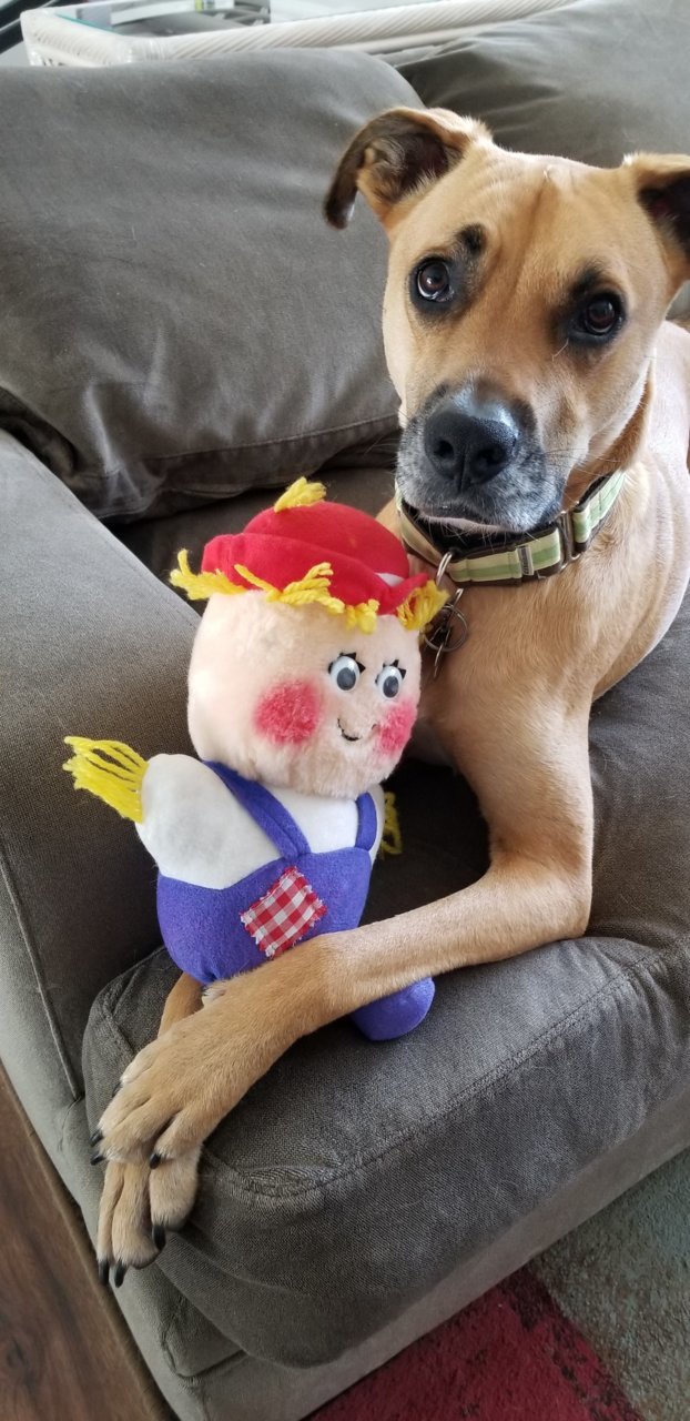 20190525_144749.jpg