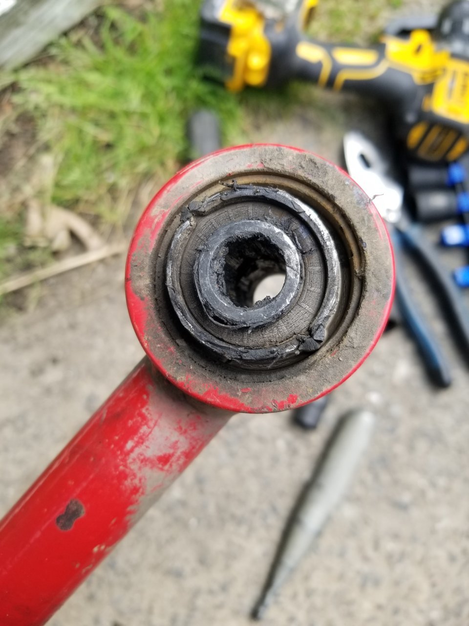 20190525_145516.jpg