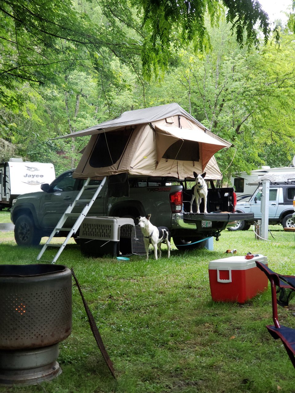 20190525_170313.jpg