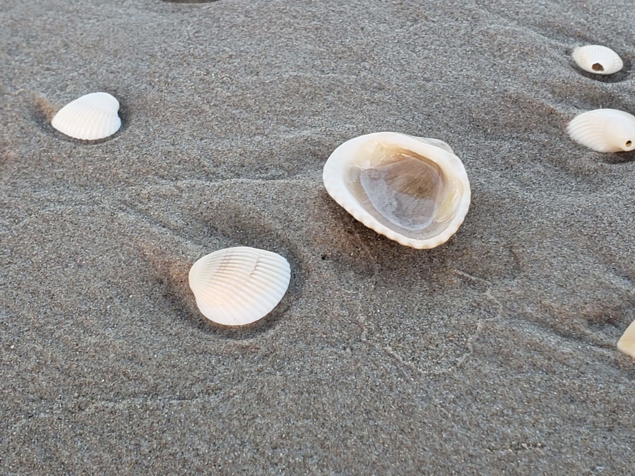 20190525_200132.jpg