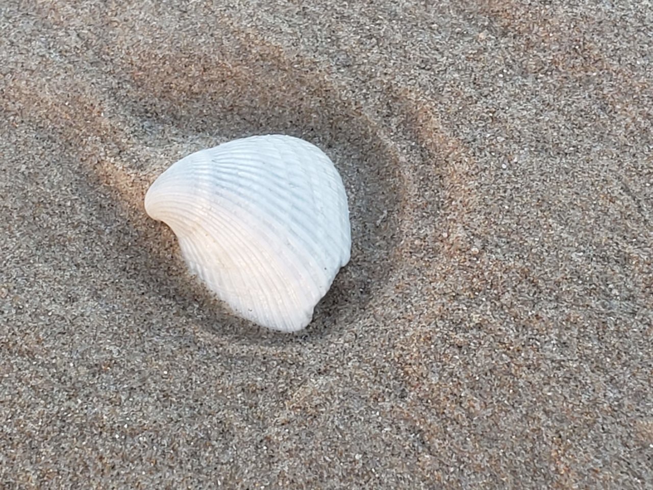 20190525_200142.jpg