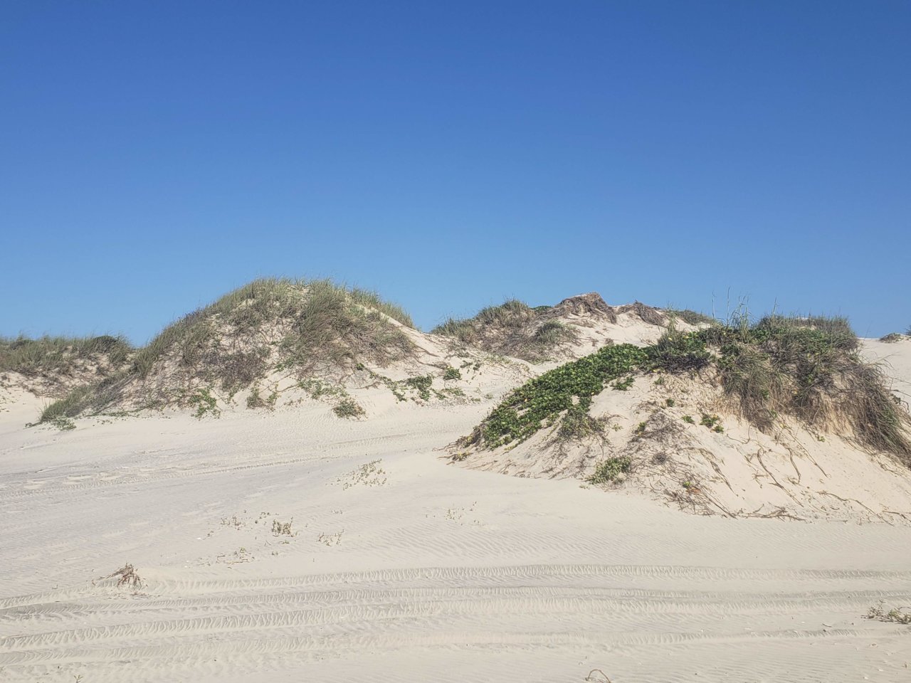 20190526_093247.jpg