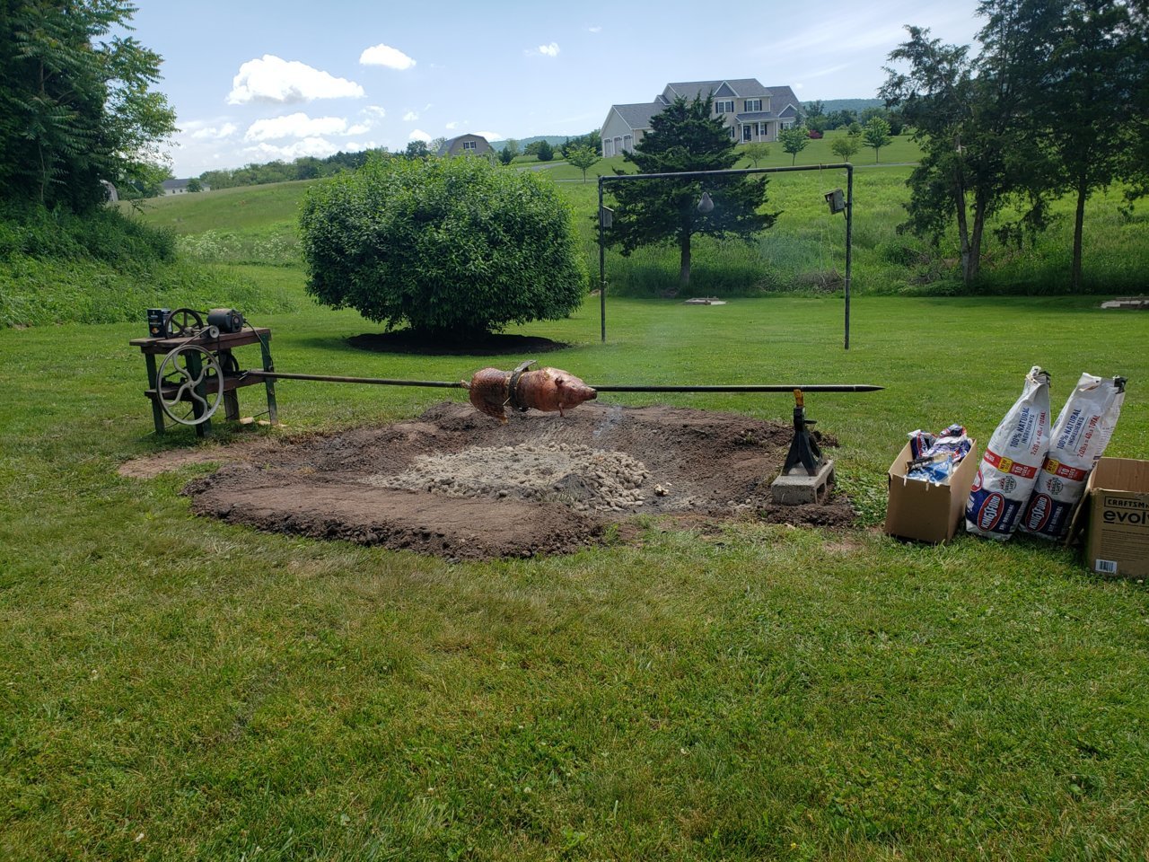 20190526_114020.jpg