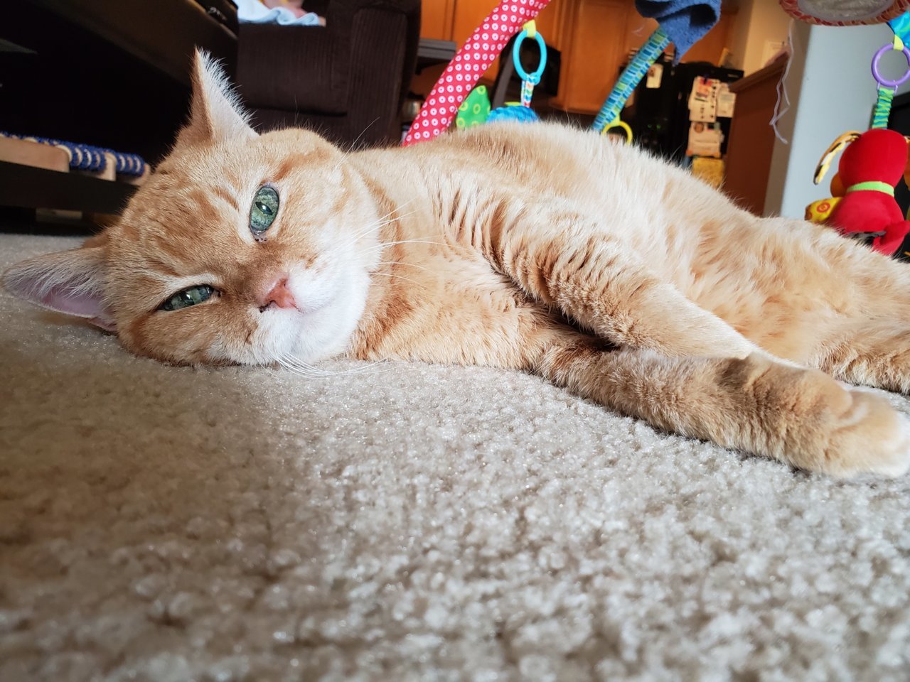 20190526_124619.jpg