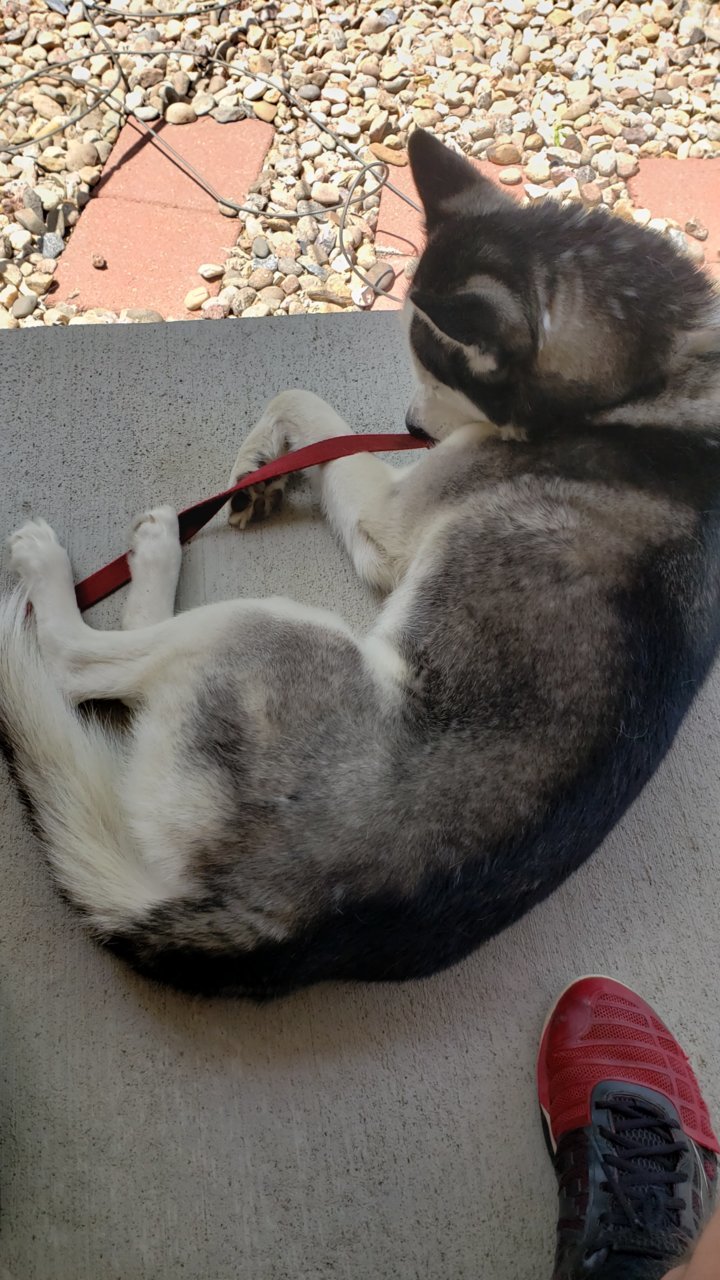 20190526_134206.jpg