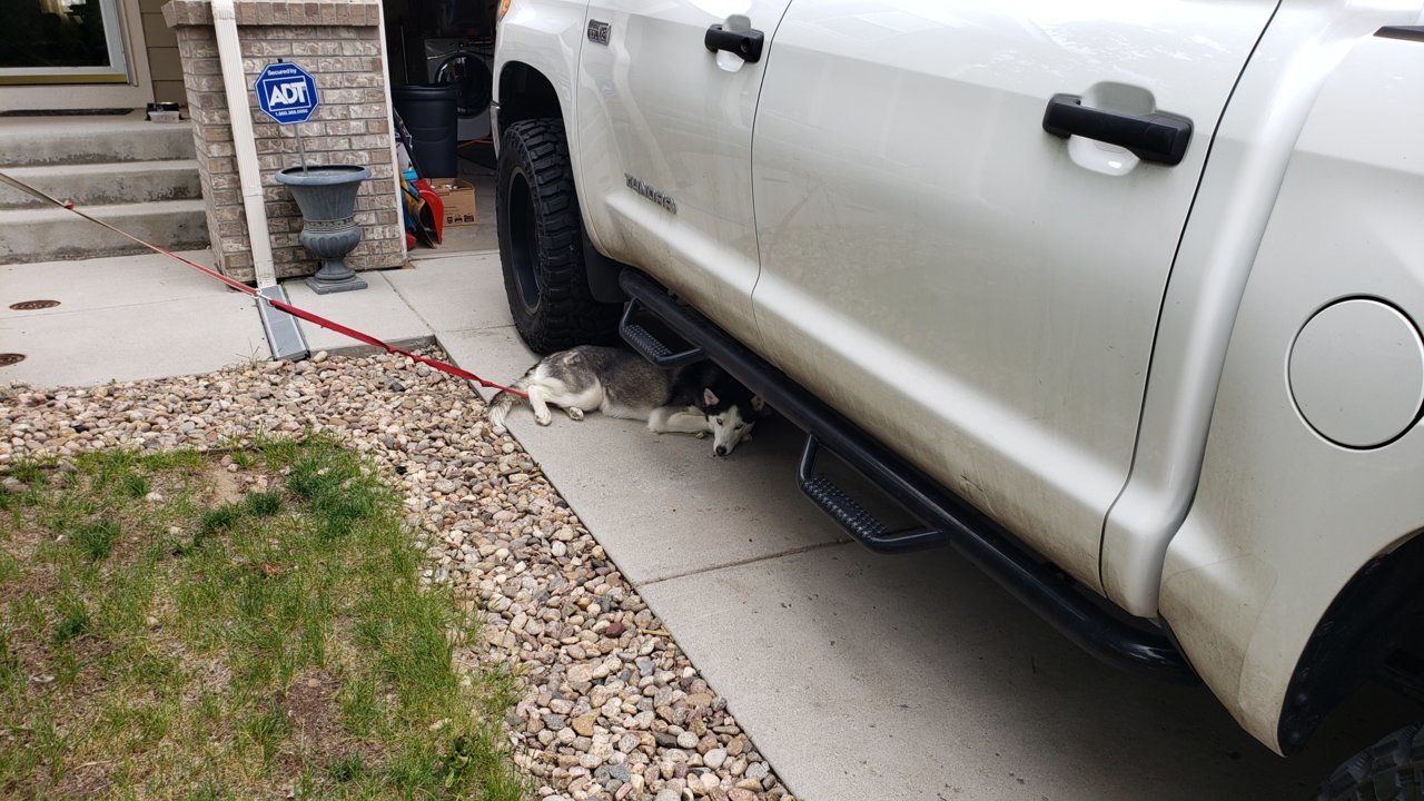 20190526_145653.jpg
